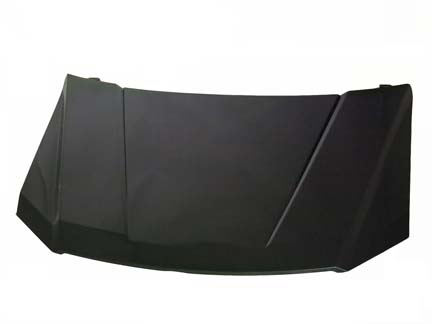 Hood for F150 (black)