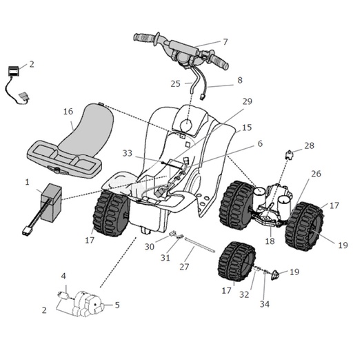 Dora Lil Quad- WALM