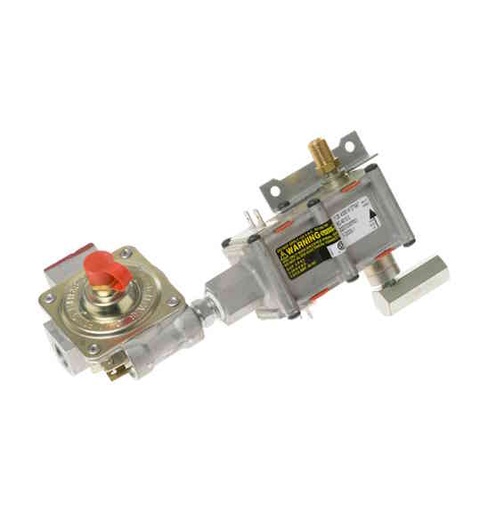 Valve WS01F01290